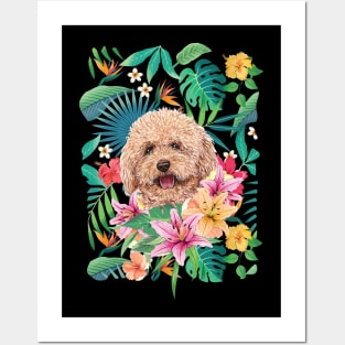 Tropical Red Toy Poodle 2 Posters and Art